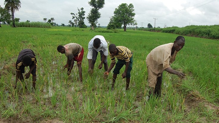 APPEALS  Project supports 2000 farmers to improve productivity